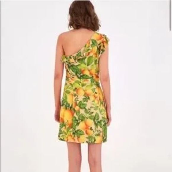 Farm Rio Fruit Orchard One-Shoulder Ruffle Mini Dress Size Small - Picture 2 of 9
